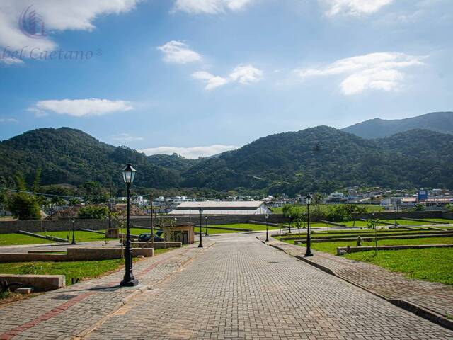 Vias e calçadas com paver