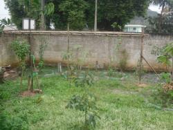 Casa para Venda em Itapema - 5
